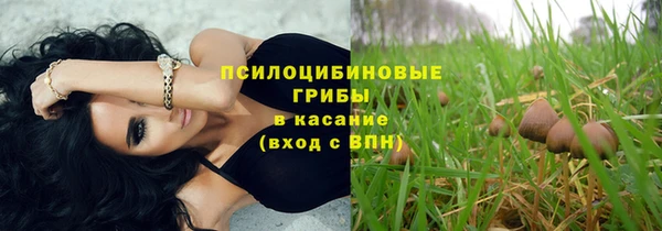 герыч Иннополис
