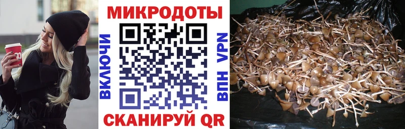 Купить где  Уржум  Псилоцибиновые грибы прущие грибы 